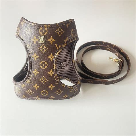 dog harness louis vuitton|louis vuitton collar and leash.